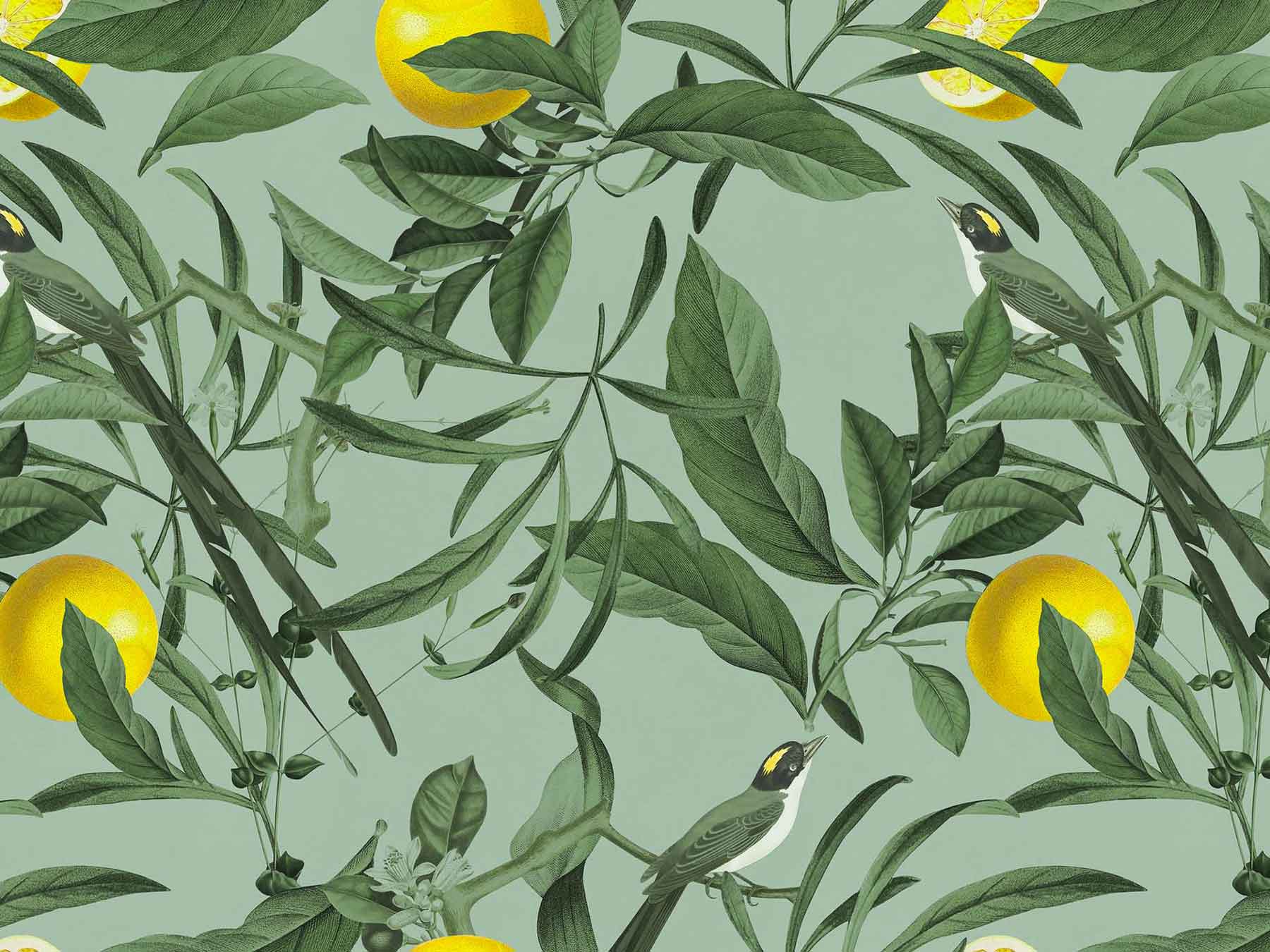 Velluto Amstel Lemon - immagine 5