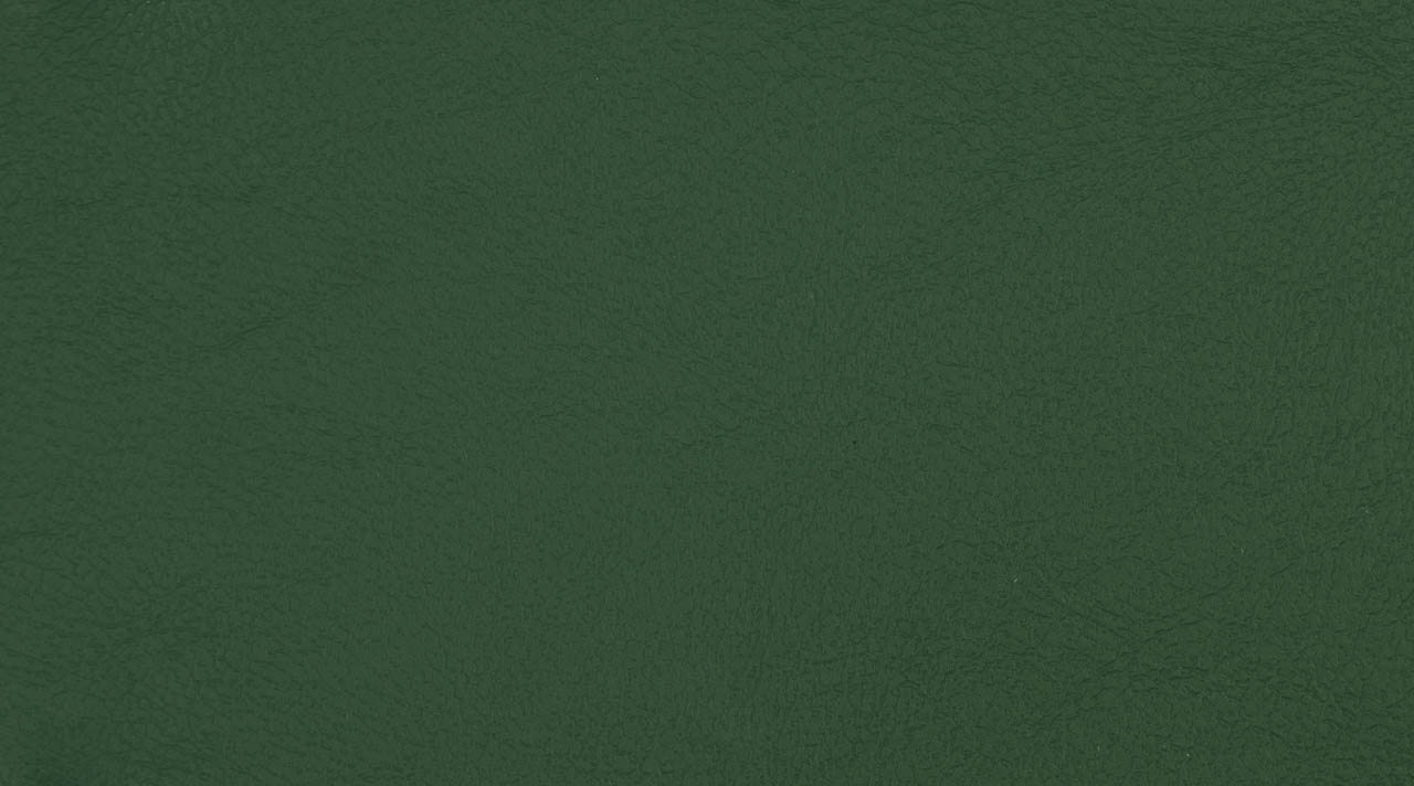 Happy 1898 Forest Green - MINIMUM ORDER: ONE ROLL