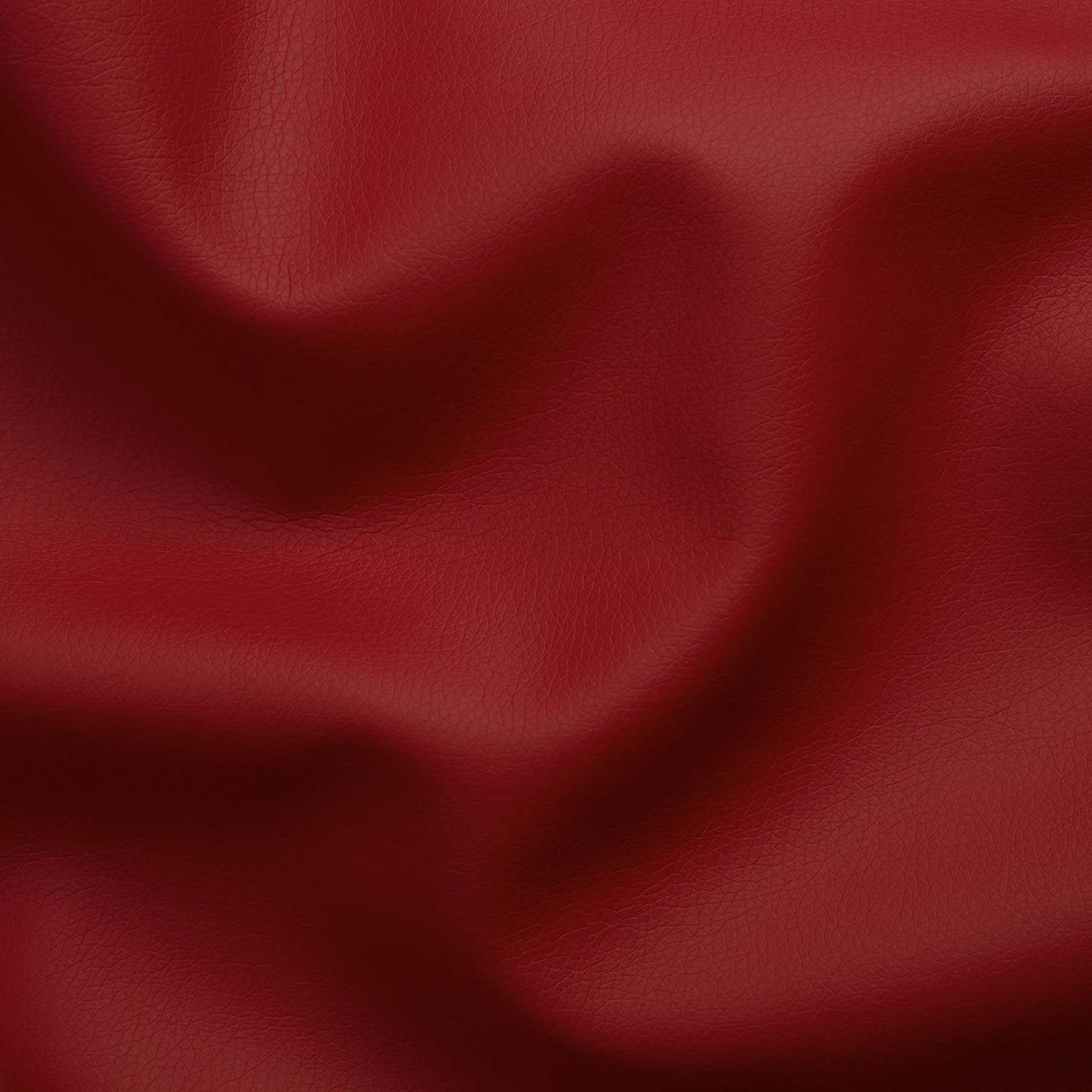 Ecopelle Tango - immagine 18