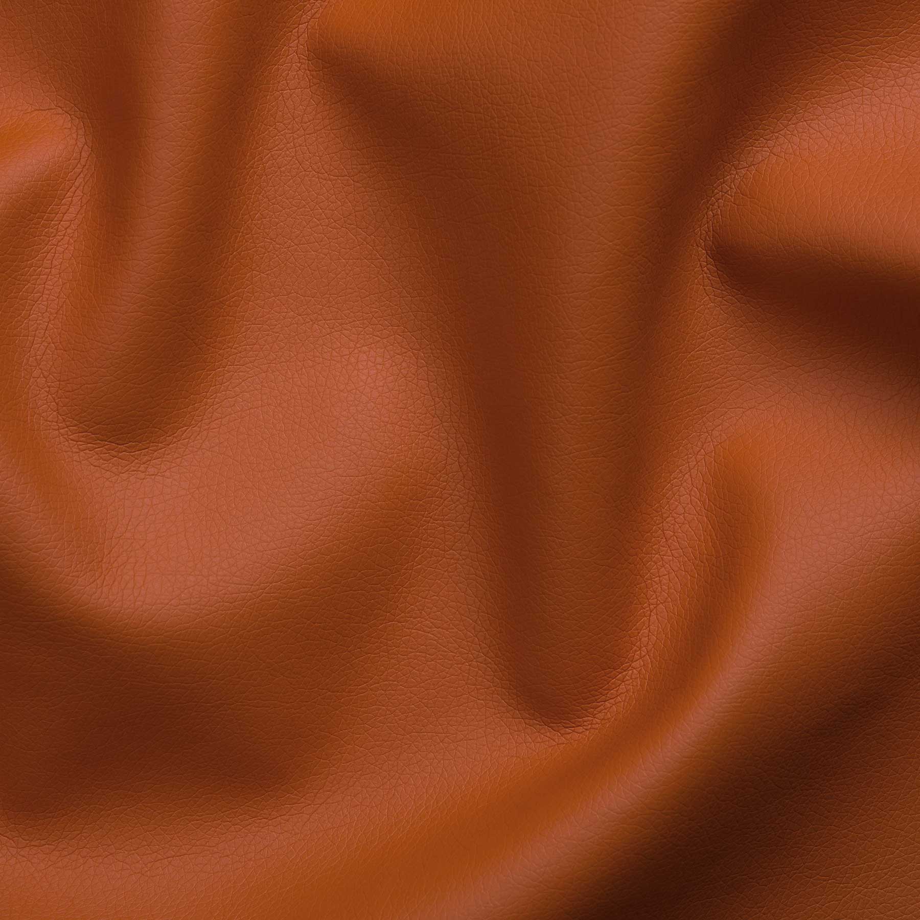 Ecopelle Tango - immagine 17