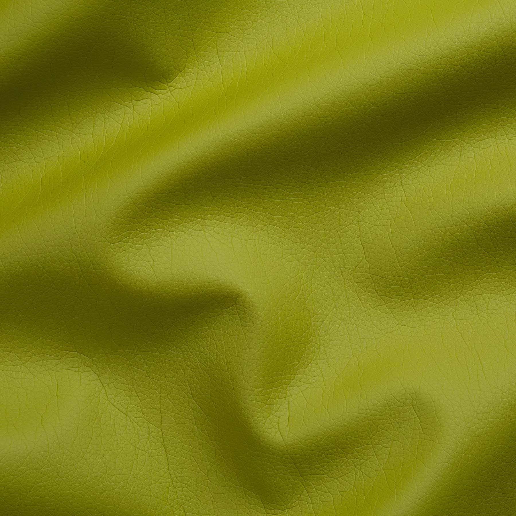Ecopelle Tango - immagine 20