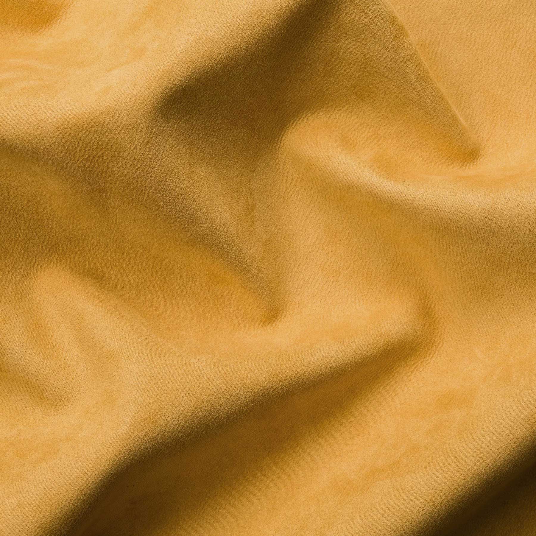 Clio/NE-120 Mustard