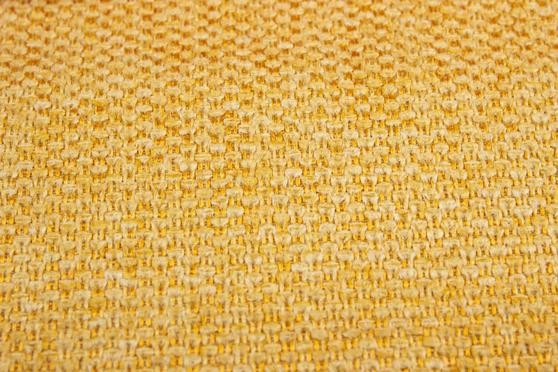 Malvasia-103