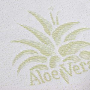 Fodera per guanciali in Aloe Vera